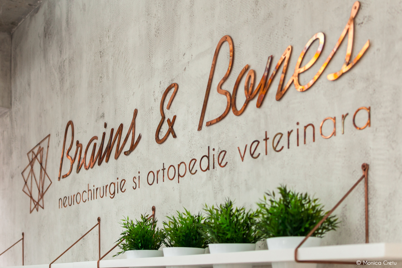 Brains & Bones - neurochirurgie si ortopedie veterinara