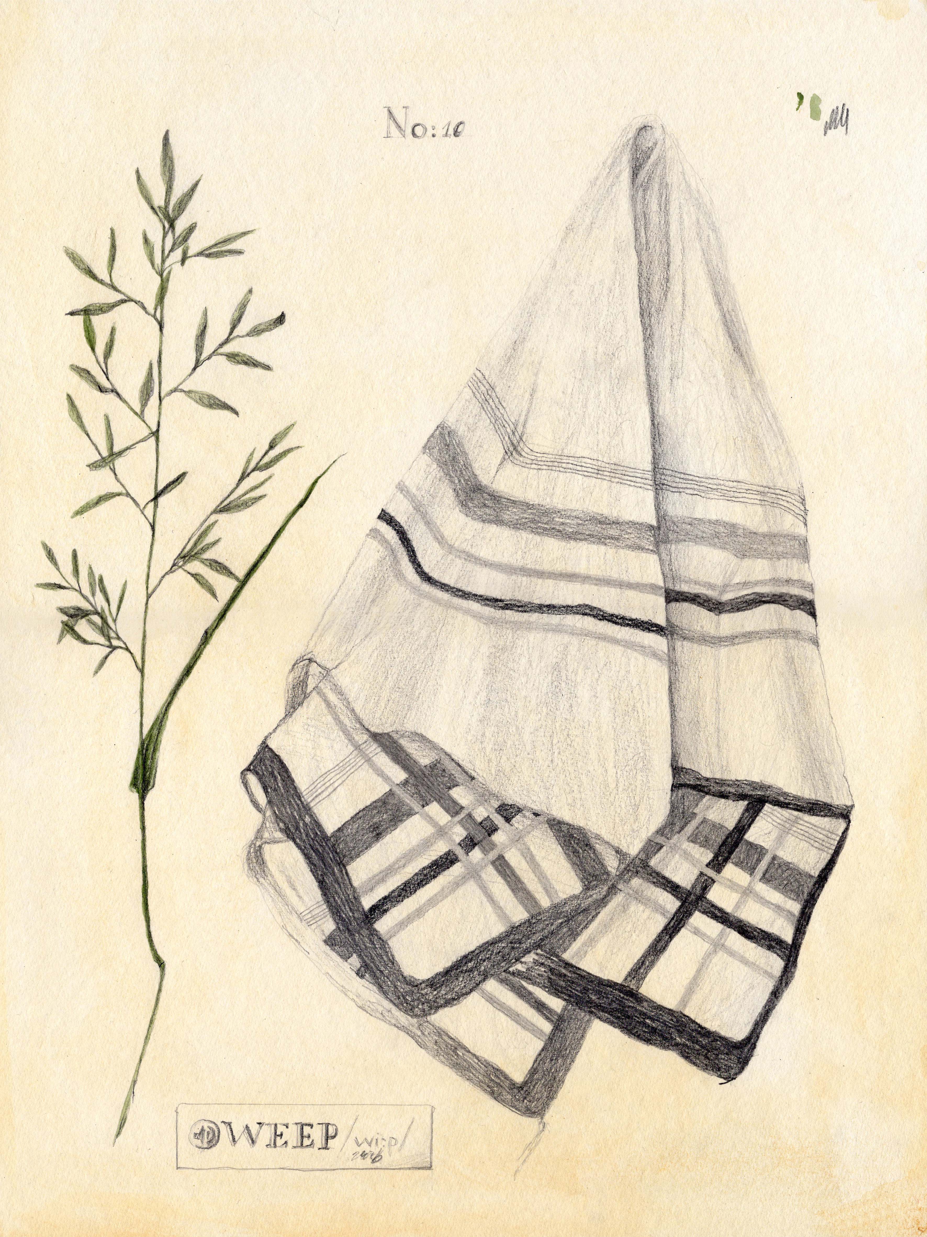 Diana Baltag