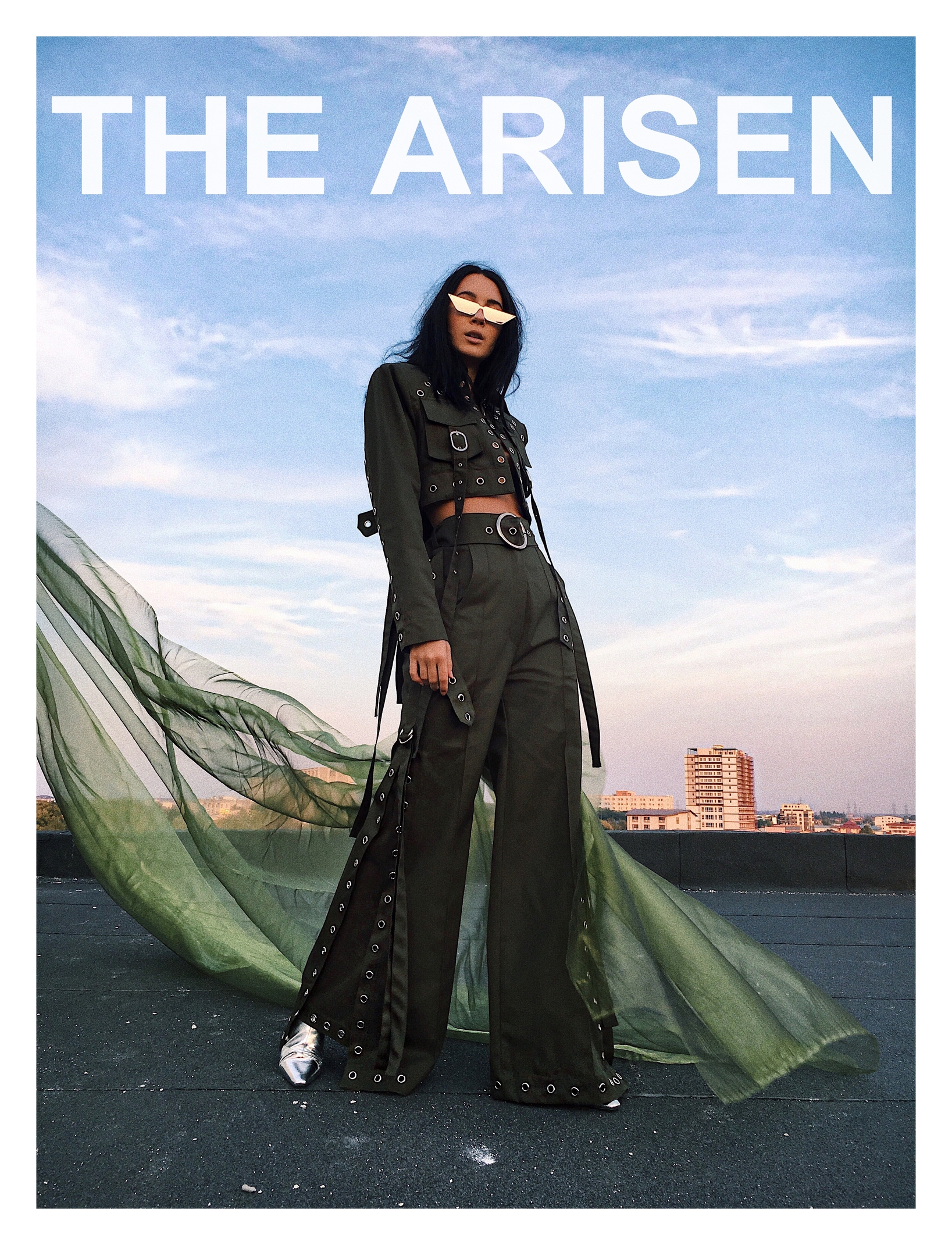 THE ARSEN