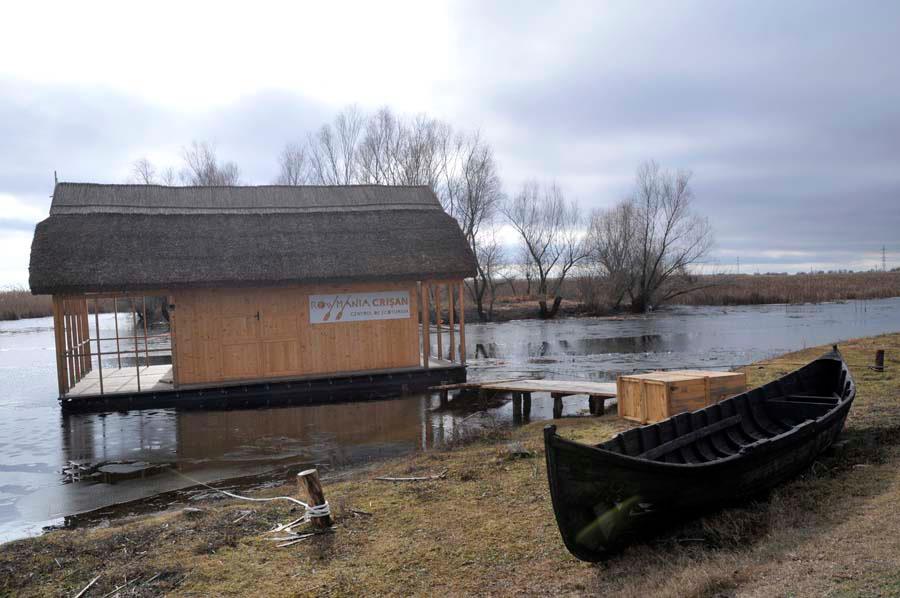 Ecosistemul PATZAIKIN 