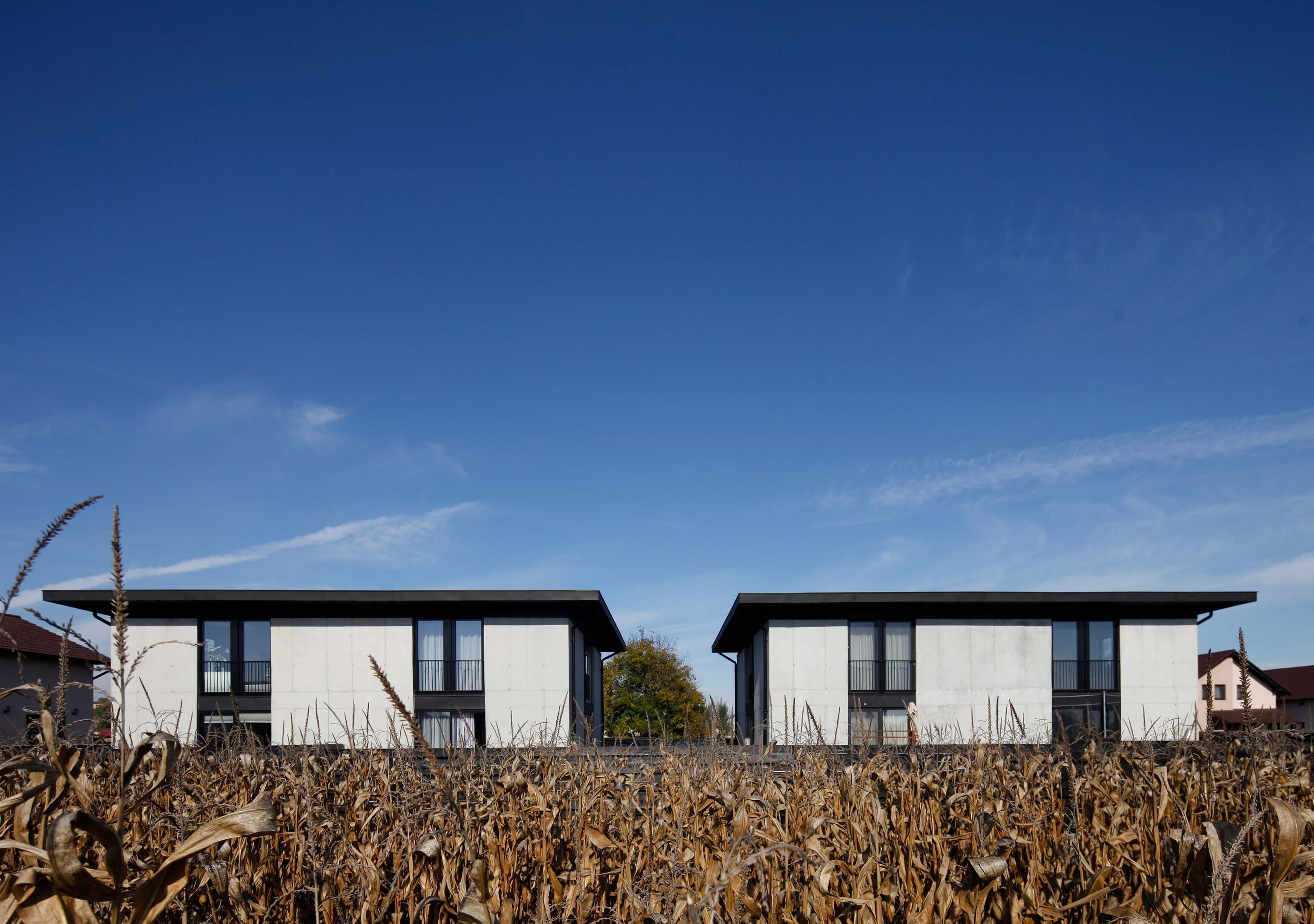 CONCRETE HOUSES