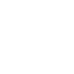 Business Review